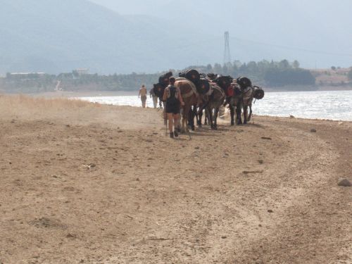 trekking con i muli-118.JPG